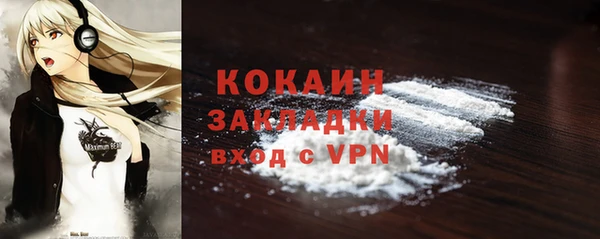 ECSTASY Бородино