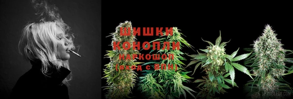 ECSTASY Бородино
