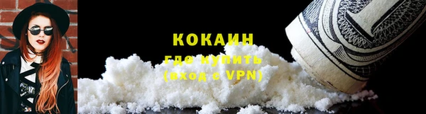 ECSTASY Бородино