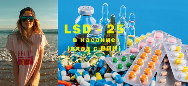 ECSTASY Бородино