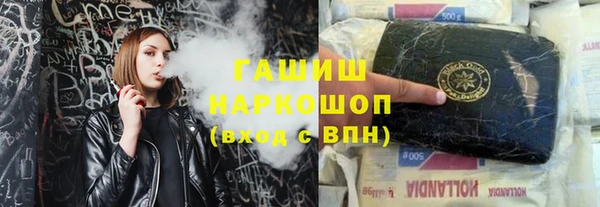 ECSTASY Бородино