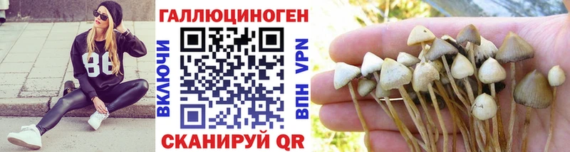 Галлюциногенные грибы ЛСД  Купить где  Новоуральск 